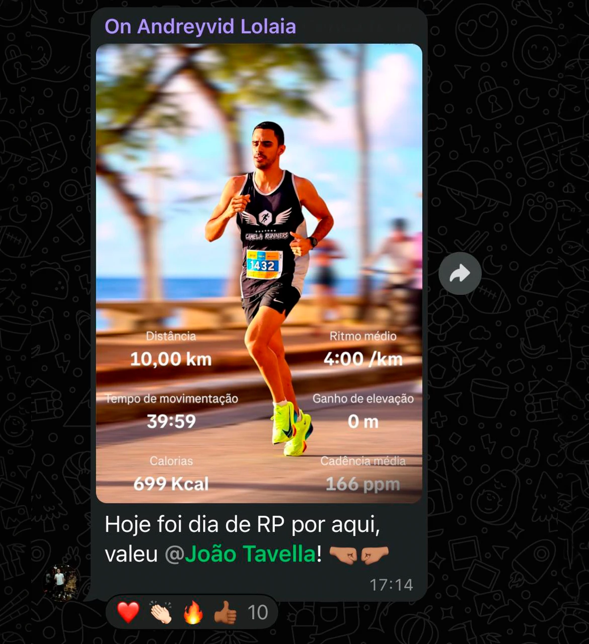 TODOS OS DPS - JOAO TAVELLA - 7